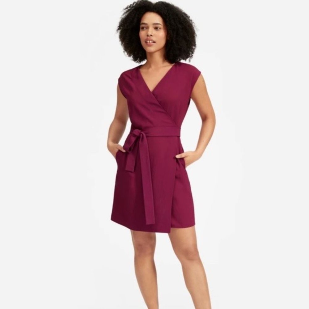Everlane Berry Pink Japanese GoWeave Wrap Dress